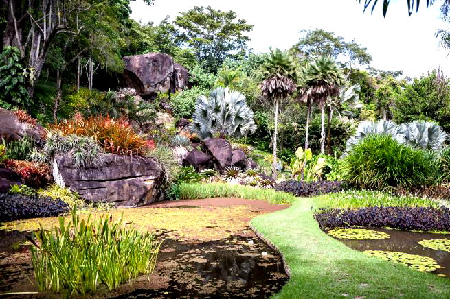 burle marx