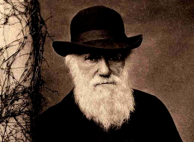 Darwin