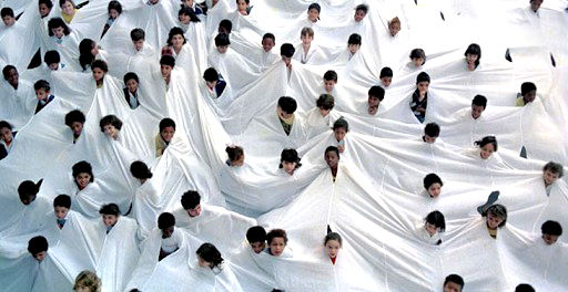 obra Divisor, Lygia Pape