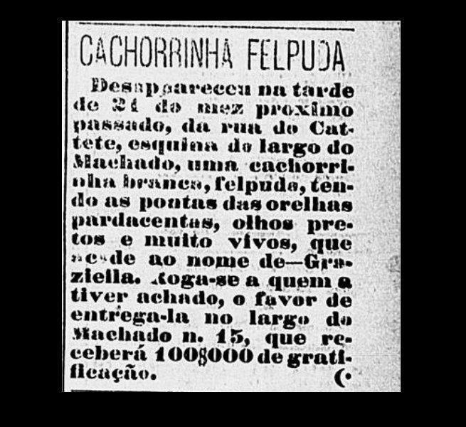 Anúncio de Machado de Assis a procura da cadela Graziella, que havia fugido