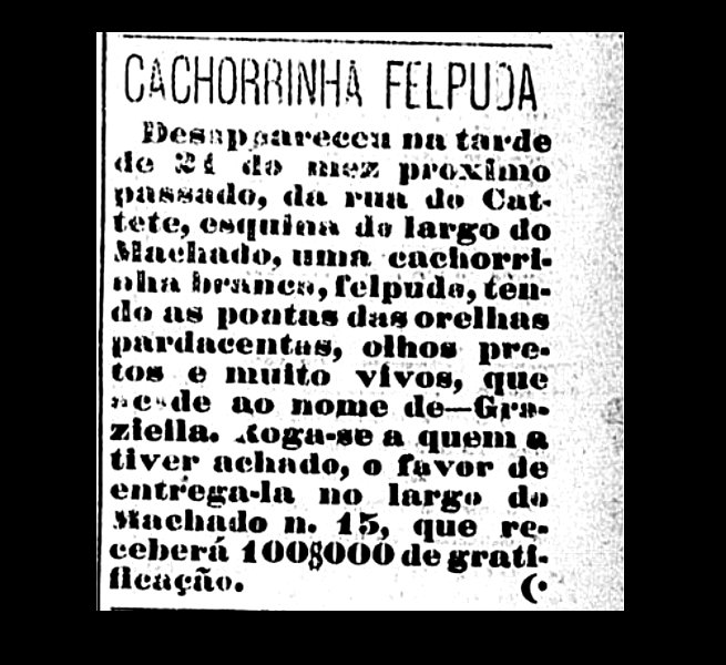 Anúncio de Machado de Assis a procura da cadela Graziella, que havia fugido