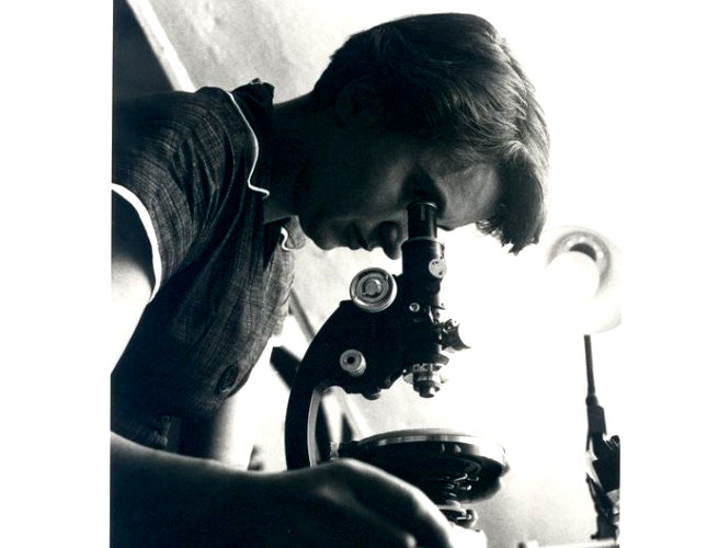 biografia pessoas importantes da história